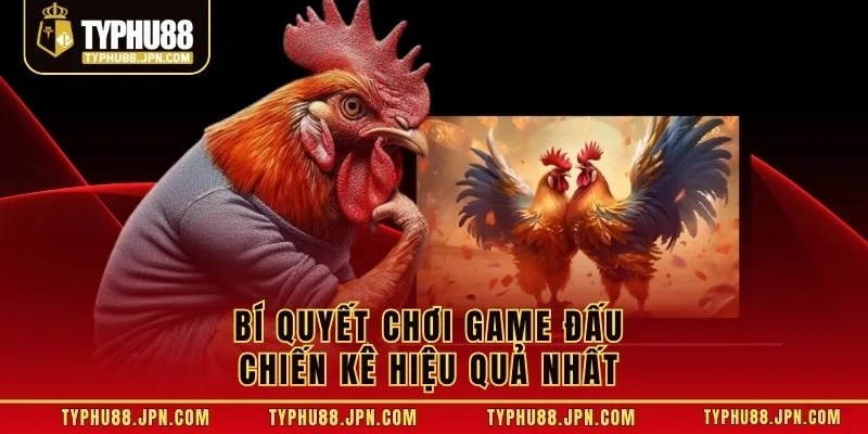 Bí quyết chơi game đấu chiến kê hiệu quả nhất 