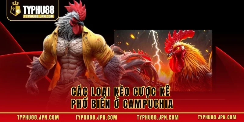Các loại kèo cược kê phổ biến ở Campuchia