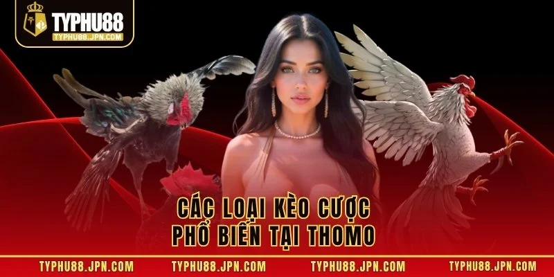 Các loại kèo cược phổ biến tại Thomo 