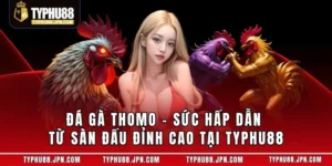 Đá Gà Thomo