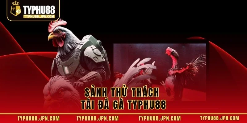 Sảnh thử thách tài đá gà TYPHU88